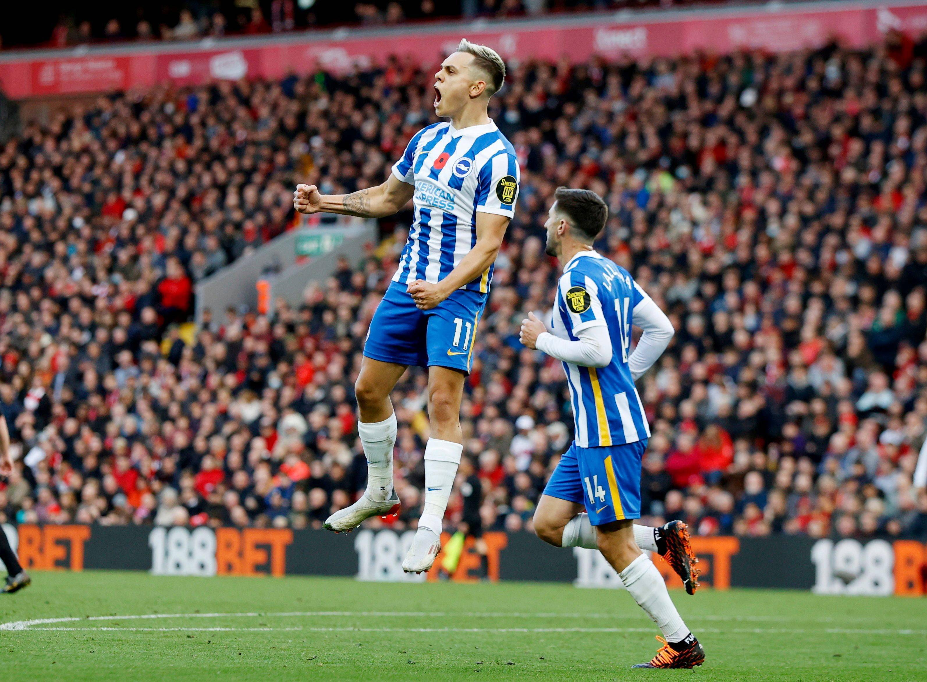 主要有以下 主要有以下